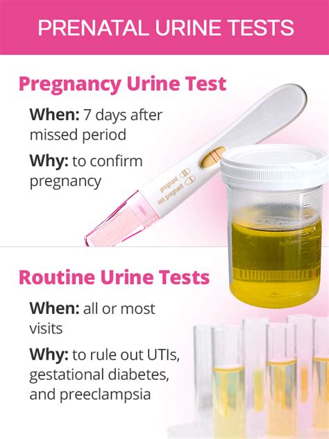 whole blood pregnancy test urine